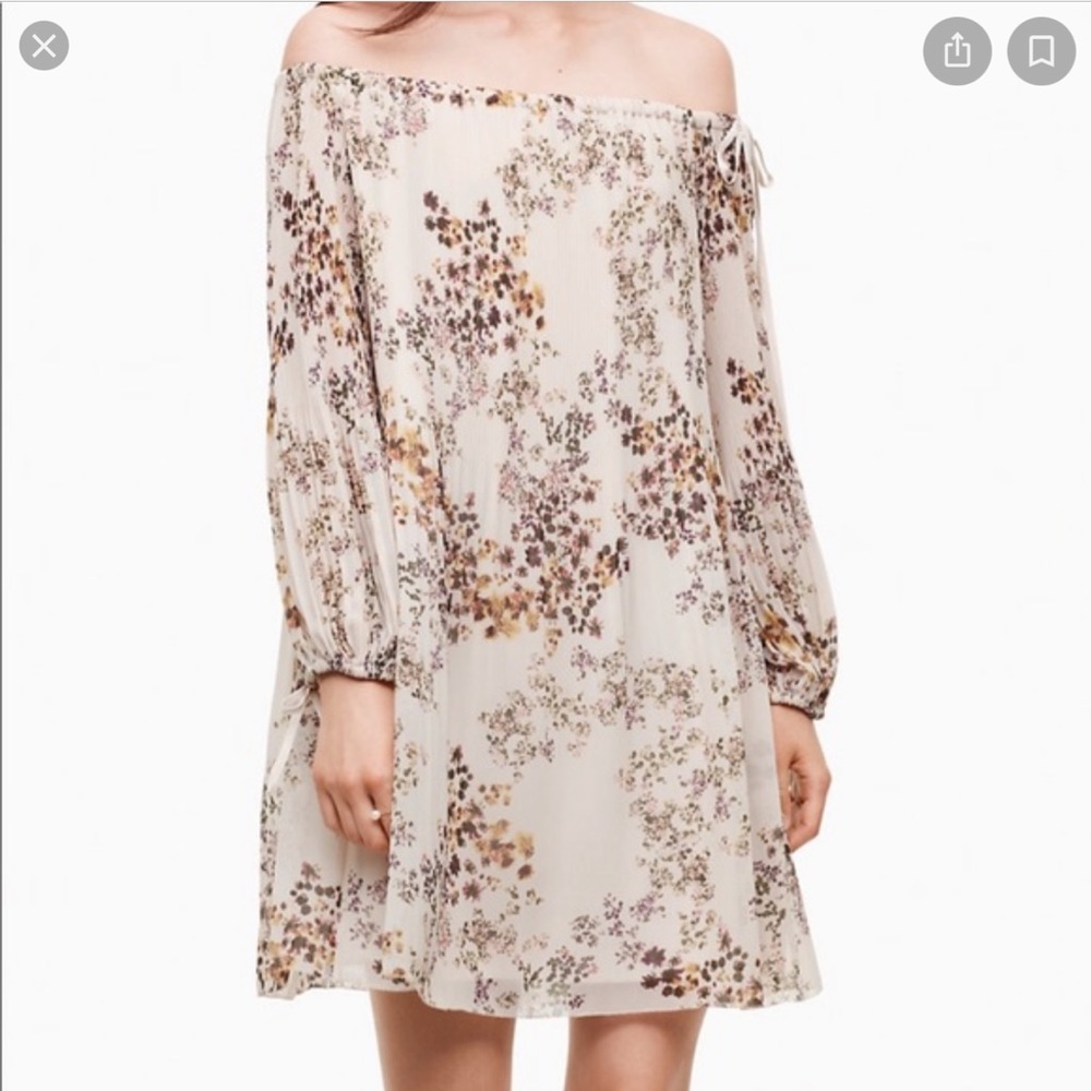 Aritzia Wilfred Raison Dress
